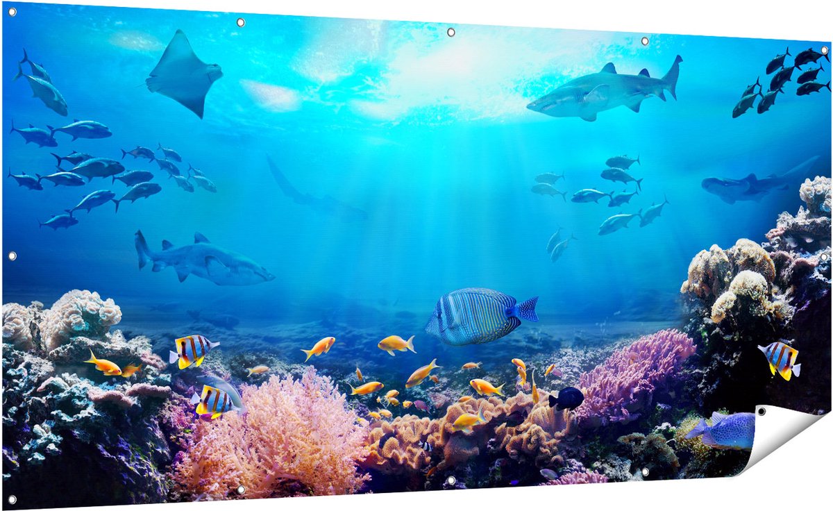 Gards Tuinposter Vissen met Haaien in de Oceaan met Koraalrif - 200x100 cm - Tuindoek - Tuindecoratie - Wanddecoratie buiten - Tuinschilderij Multikleur