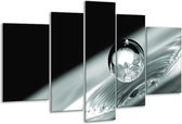 Glasschilderij Macro - Zwart, Grijs, Zilver - 170x100cm 5Luik - Foto Op Glas - Geen Acrylglas Schilderij - 6000+ Glasschilderijen Collectie - Wanddecoratie