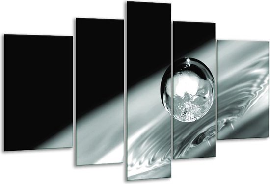 Glas schilderij Macro | Zwart, Grijs, Zilver | | Foto print op Glas |  F006544