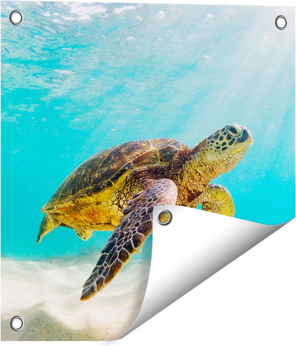 Gards Tuinposter Schildpad Zwemt in de Helder Blauwe Zee - 40x40 cm - Tuindoek - Tuindecoratie - Wanddecoratie buiten - Tuinschilderij Multikleur