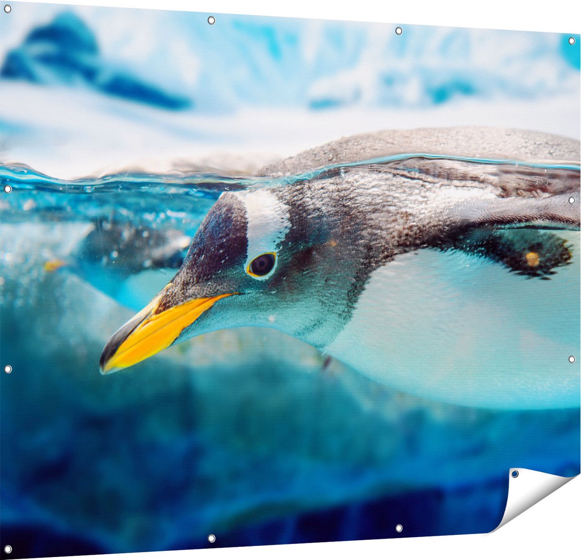 Gards Tuinposter Pingu�n Zwemt onder Water - 150x120 cm - Tuindoek - Tuindecoratie - Wanddecoratie buiten - Tuinschilderij Multikleur