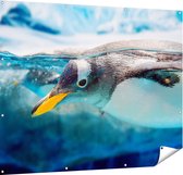 Gards Tuinposter Pingu�n Zwemt onder Water - 150x120 cm - Tuindoek - Tuindecoratie - Wanddecoratie buiten - Tuinschilderij