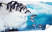 Gards Tuinposter Kudde Pingu�ns Springen vanaf een Rots - 180x90 cm - Tuindoek - Tuindecoratie - Wanddecoratie buiten - Tuinschilderij