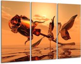 Glasschilderij Roos - Rood, Goud, Geel - 120x80cm 3Luik - Foto Op Glas - Geen Acrylglas Schilderij - GroepArt 6000+ Glas Art Collectie - Maatwerk Mogelijk