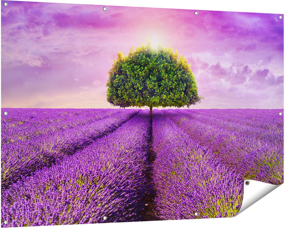 Gards Tuinposter Groene Boom in de Lavendel Bloemen - 150x100 cm - Tuindoek - Tuindecoratie - Wanddecoratie buiten - Tuinschilderij Multikleur