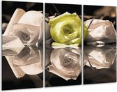 Glasschilderij Roos - Groen, Grijs, Wit - 120x80cm 3Luik - Foto Op Glas - Geen Acrylglas Schilderij - GroepArt 6000+ Glas Art Collectie - Maatwerk Mogelijk