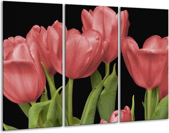 Peinture sur verre tulipes | Rouge, vert, noir | 120x80cm 3 Liège | Tirage photo sur verre |  F003189