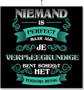 Tegel Met Opdruk | Kado | Cadeau | Niemand Is Perfect | Beroep | Verpleegkundige