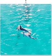 Carrelage Avec Impression | Cadeau | Cadeau d'anniversaire | dauphins