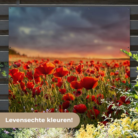 Affiche de Jardin Coucher de soleil - Coquelicots - Rouge - 200x200 cm