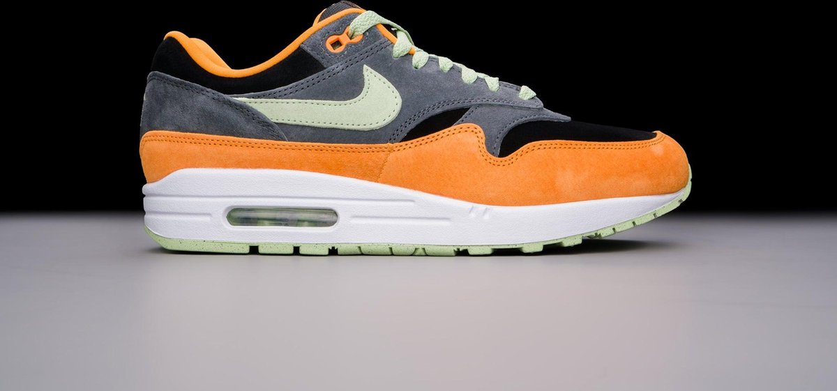 Nike Nike Air Max 1 PRM Sneakers Unisex Groen