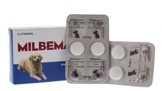 Ontwormingsmiddel - Hond - 2x2 tabletten
