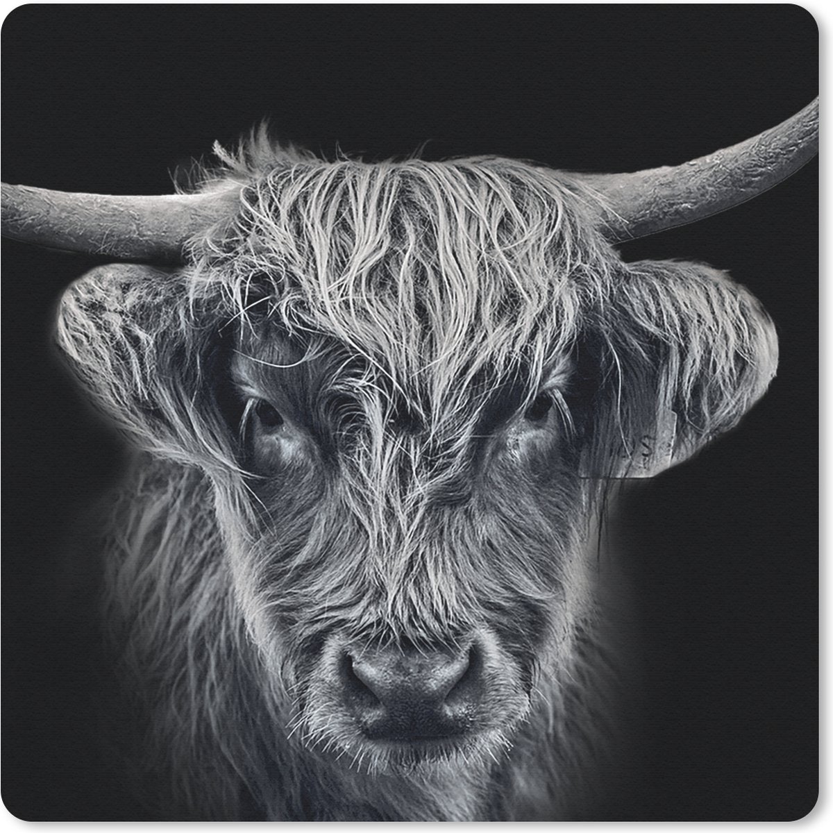 Muismat 30x30 cm - Mousepad Schotse hooglander - Zwart - Koe - Dieren - Muismatten