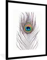 Fotolijst incl. Poster - Pauwenveren - Blauw - Veer - Pauw - Dieren - 60x80 cm - Posterlijst