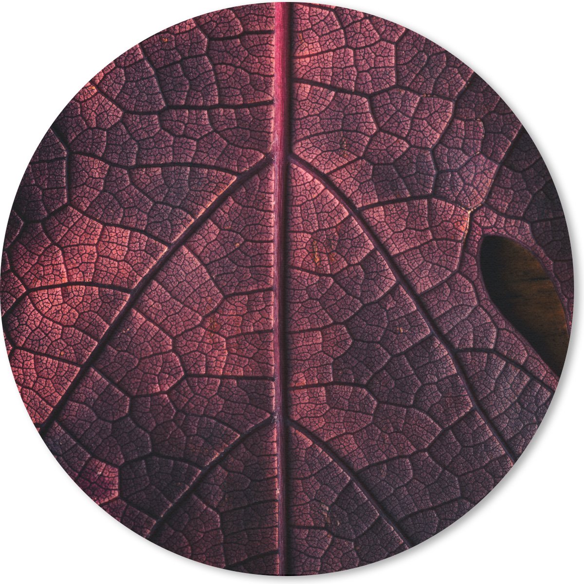 Muismat rond 40x40 cm - Mousepad Abstract - Rood - Bladeren - Plant - Ronde muismatten