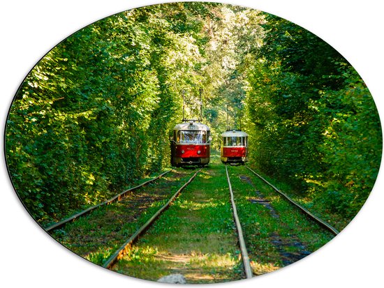 Dibond Ovaal - Twee Rode Trams op Tramrails door Groenrijk Bos - 68x51 cm Foto op Ovaal (Met Ophangsysteem)