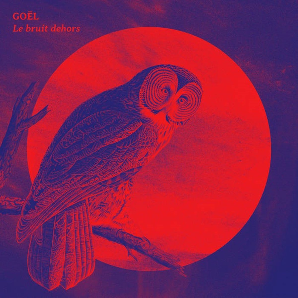 Goël - Le Bruit Dehors (CD)