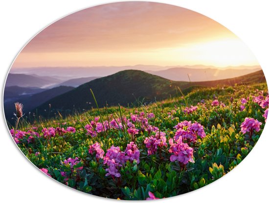 PVC Schuimplaat Ovaal - Roze Bloemen op de Bergen van Landschap tijdens Zonsopkomst - 96x72 cm Foto op Ovaal (Met Ophangsysteem)