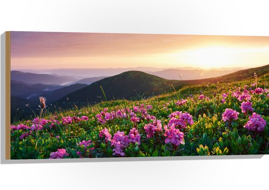 Hout - Roze Bloemen op de Bergen van Landschap tijdens Zonsopkomst - 100x50 cm - 9 mm dik - Foto op Hout (Met Ophangsysteem)