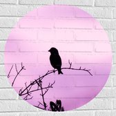 Muursticker Cirkel - Silhouet van een Klein Vogeltje tegen Paarskleurige Lucht - 70x70 cm Foto op Muursticker
