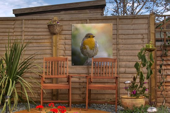 Tuinposter vogels - Roodborstje - Portret - Natuur - Tak - Tuindecoratie - Schuttingdoek - Schutting decoratie - Tuin - Tuinschilderij voor buiten - 50x50 cm - Tuindoek - Tuinposters buiten