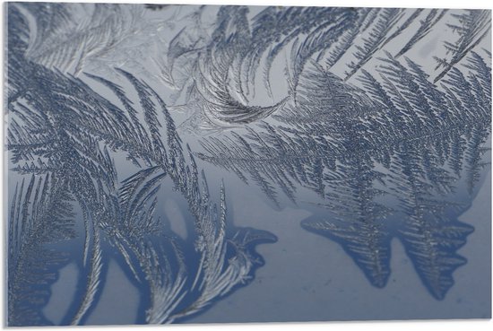 Acrylglas - Bevroren Vogel Veren - 75x50 cm Foto op Acrylglas (Met Ophangsysteem)