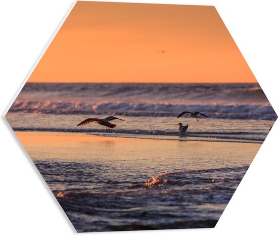 PVC Schuimplaat Hexagon - Vliegende en Lopende Vogels in en Boven het Zeewater tijdens Zonsondergang - 50x43.5 cm Foto op Hexagon (Met Ophangsysteem)