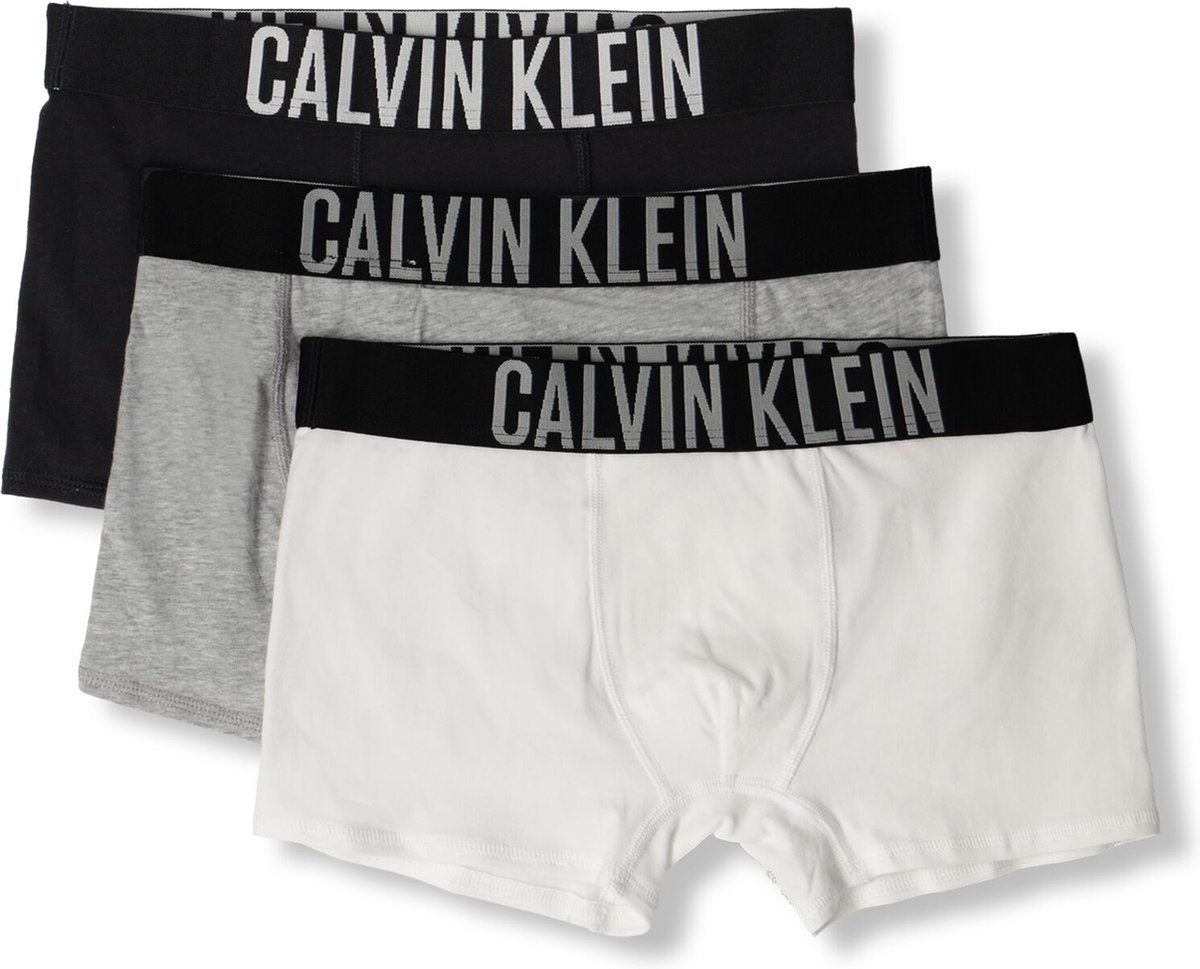 Calvin Klein Hipster Brief 3 Pack