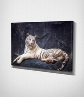 White Tiger Laying On The Rock Canvas | 40x60 cm