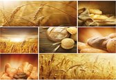 Fotobehang Food Bread  | PANORAMIC - 250cm x 104cm | 130g/m2 Vlies