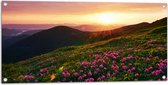 Tuinposter – Zonsondergang Verdwijnend achter Gebergte vol Paarse Bloemen - 100x50 cm Foto op Tuinposter (wanddecoratie voor buiten en binnen)