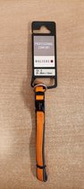 Wolters professional comfort halsband maat 0 25-28 cm lang 15mm breed oranje