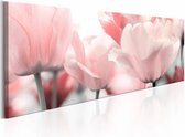 Schilderij - Roze Tulpen