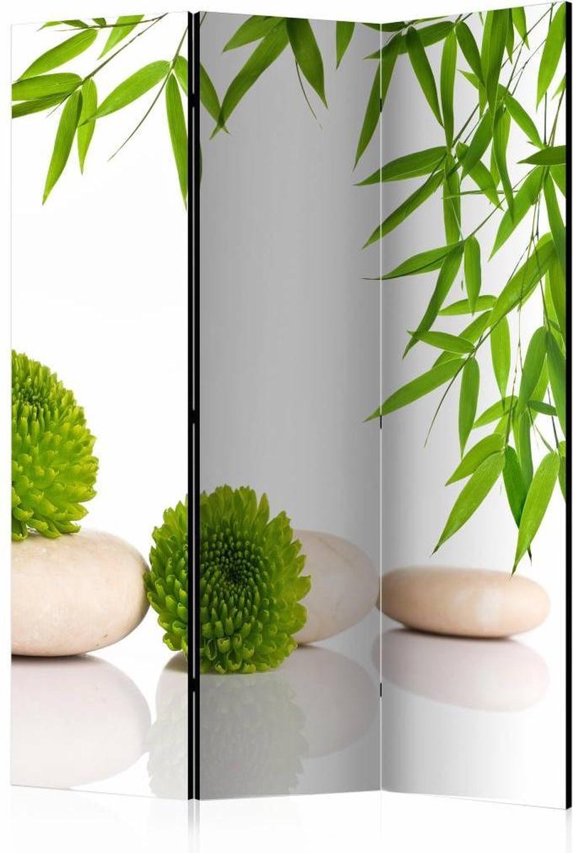 Vouwscherm / Kamerscherm - Groen relax 135x172cm , gemonteerd geleverd, dubbelzijdig geprint