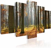 Schilderij - Mooi Landschap, Bos,  5luik , groen bruin , premium print op canvas