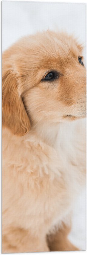 Vlag - Beige Golden Retriever Puppy in Besneeuwd Landschap - 30x90 cm Foto op Polyester Vlag