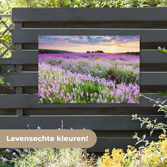 Een tuinposter met een paarse lavendelweide bij zonsondergang, opgehangen aan een donkerbruin hek.