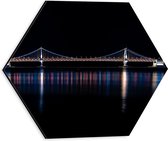 Dibond Hexagon - Gwanganbrug in de Nacht met lichtjes - 30x26.1 cm Foto op Hexagon (Met Ophangsysteem)