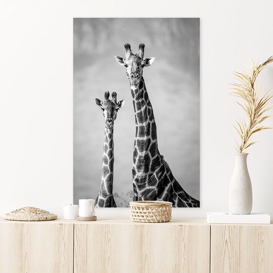 Aluminium Schilderij Giraffenpaar