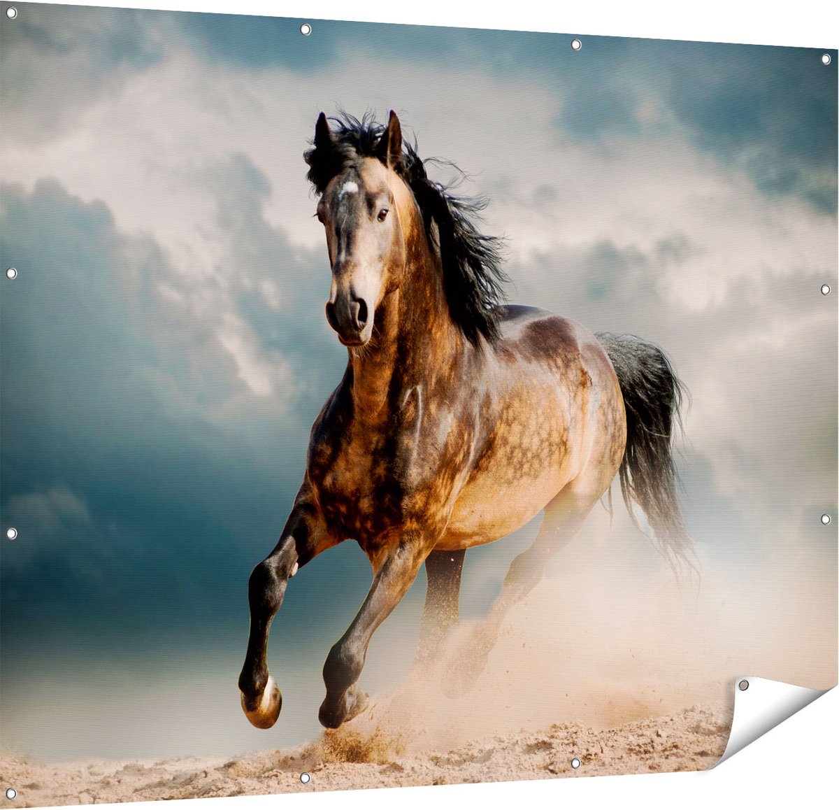 Gards Tuinposter Wilde Paard in het Zand - 150x120 cm - Tuindoek - Tuindecoratie - Wanddecoratie buiten - Tuinschilderij Multikleur