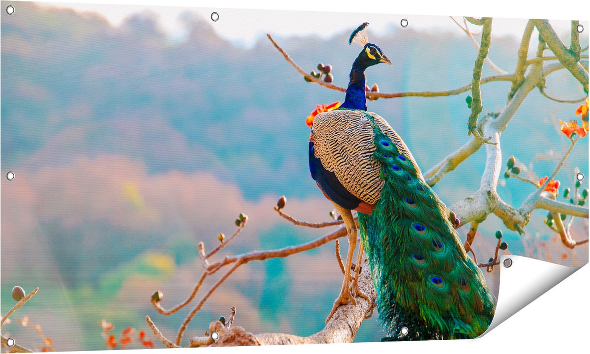 Gards Tuinposter Pauw in de Bomen - 140x70 cm - Tuindoek - Tuindecoratie - Wanddecoratie buiten - Tuinschilderij Multikleur