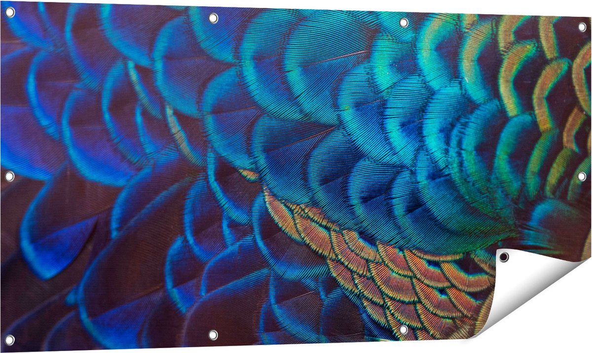 Gards Tuinposter Kleurrijke Pauw Veren van Dichtbij - 120x60 cm - Tuindoek - Tuindecoratie - Wanddecoratie buiten - Tuinschilderij Multikleur