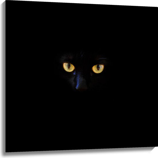 Canvas - Felgele Ogen van Zwarte Kat in Donkere Omgeving - 100x100 cm Foto op Canvas Schilderij (Wanddecoratie op Canvas)