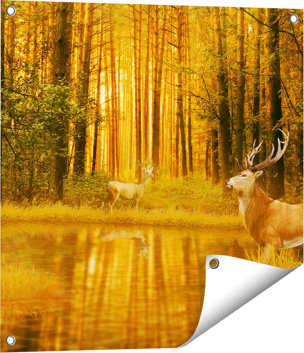 Gards Tuinposter Twee Herten in het Bos bij het Water - 60x60 cm - Tuindoek - Tuindecoratie - Wanddecoratie buiten - Tuinschilderij Multikleur