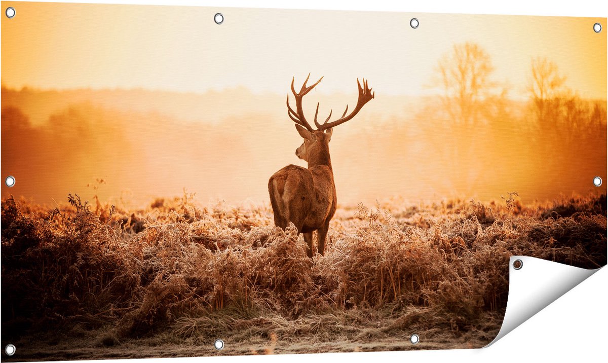 Gards Tuinposter Hert in de Wei tijdens de Zonsopkomst - 120x60 cm - Tuindoek - Tuindecoratie - Wanddecoratie buiten - Tuinschilderij Multikleur