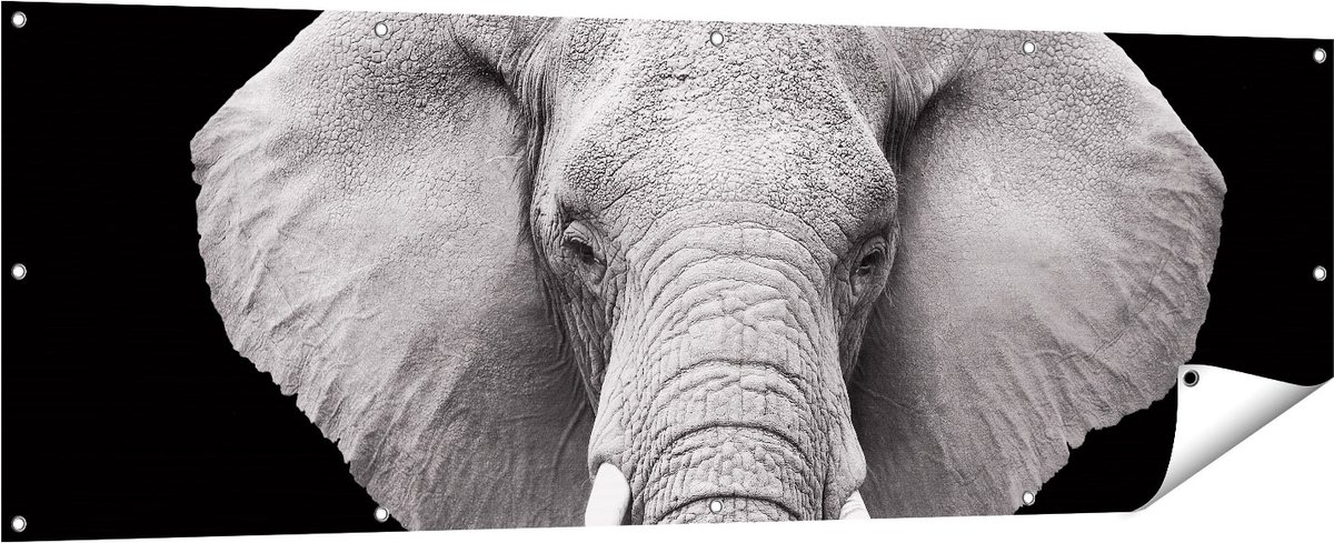 Gards Tuinposter Olifant - Zwart Wit - 180x60 cm - Tuindoek - Tuindecoratie - Wanddecoratie buiten - Tuinschilderij Multikleur