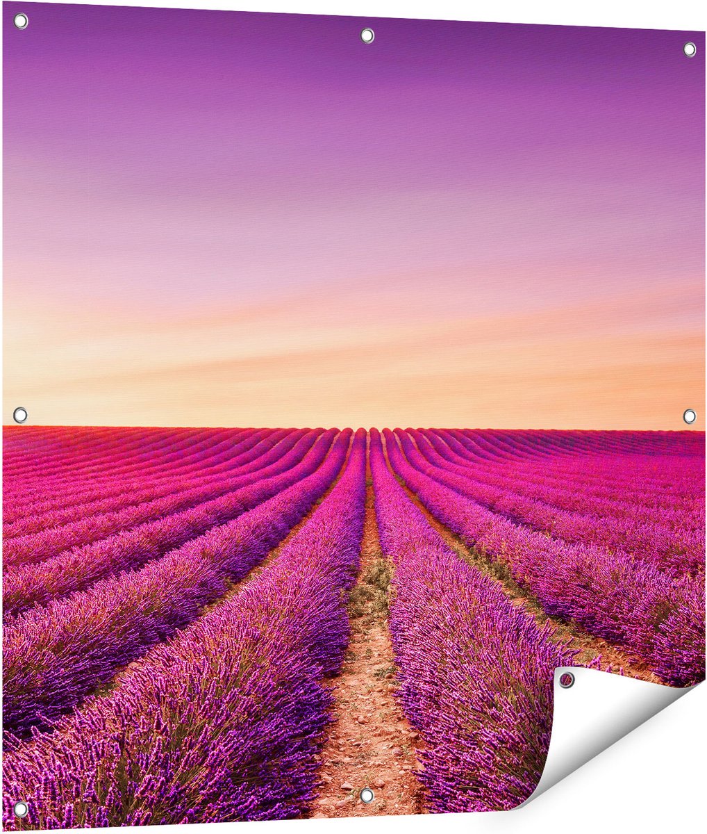 Gards Tuinposter Paarse Lavendel Bloemenveld - 90x90 cm - Tuindoek - Tuindecoratie - Wanddecoratie buiten - Tuinschilderij Multikleur