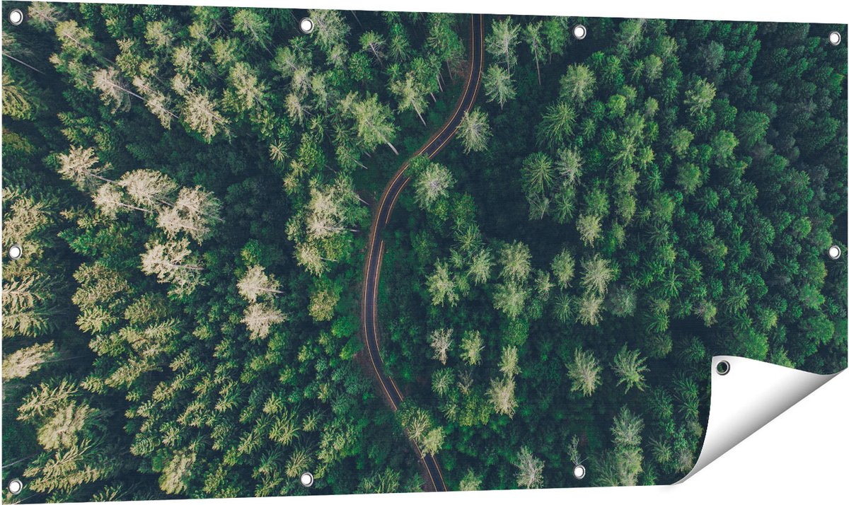 Gards Tuinposter Weg Door Bos met Bomen - Bovenaanzicht - 120x60 cm - Tuindoek - Tuindecoratie - Wanddecoratie buiten - Tuinschilderij Multikleur