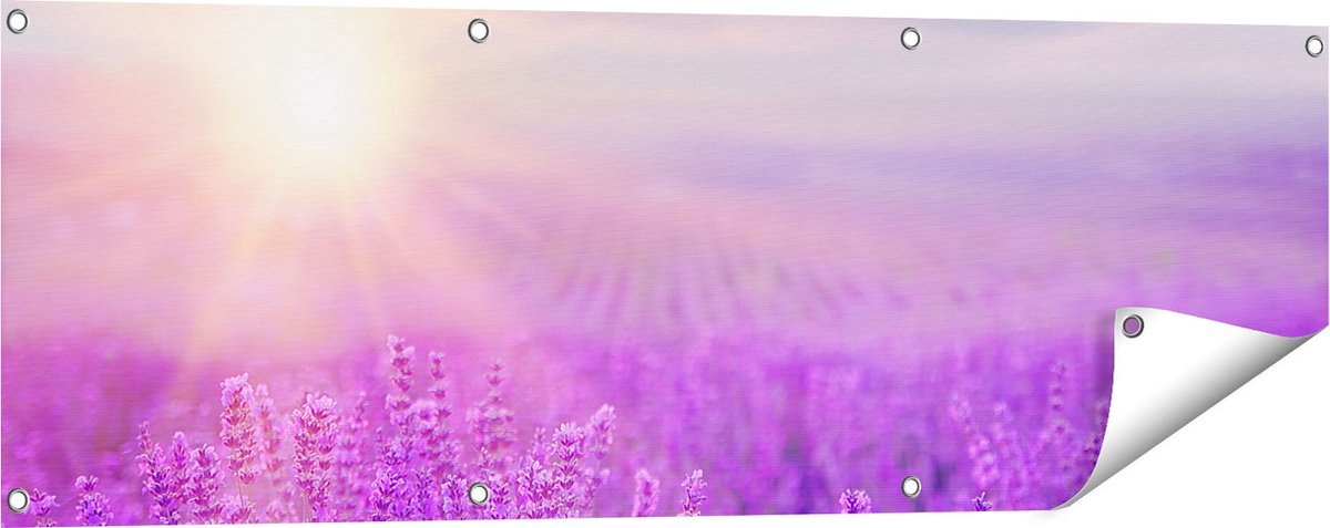 Gards Tuinposter Bloemenveld met Paarse Lavendel - 120x40 cm - Tuindoek - Tuindecoratie - Wanddecoratie buiten - Tuinschilderij Multikleur