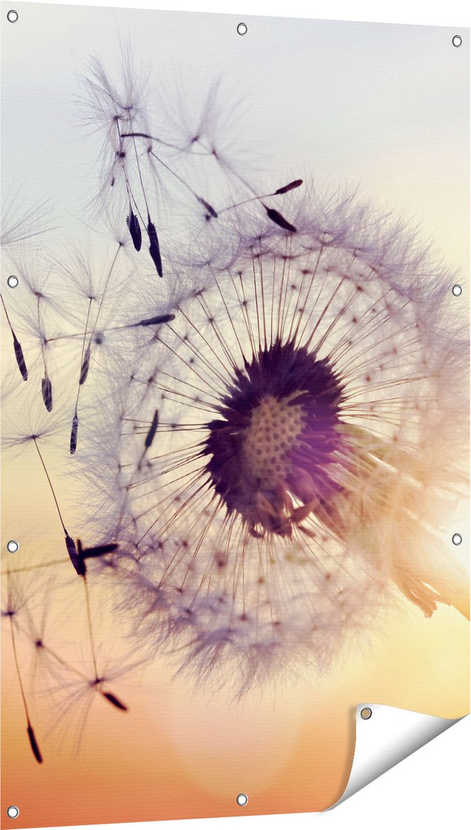 Gards Tuinposter Paardenbloem tijdens Zonsondergang - 80x120 cm - Tuindoek - Tuindecoratie - Wanddecoratie buiten - Tuinschilderij Multikleur